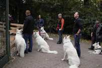 die sind aber sehr gro&szlig;